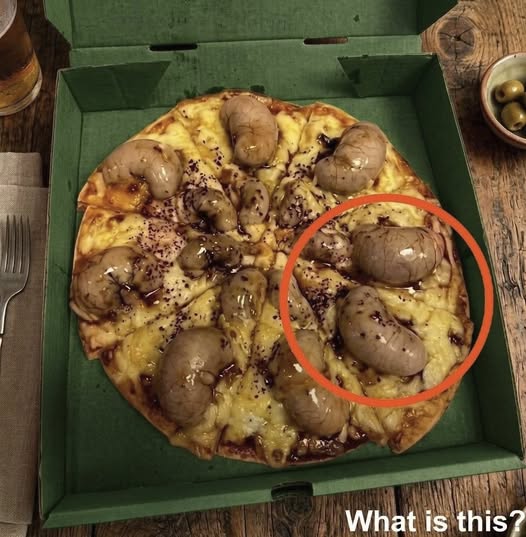 I ordered a pizza in the evening. The delivery driver brought it to me. I took it and went to the kitchen to eat. When I opened the box, I saw this. I sat there looking at it, but I still can’t understand what it is. Does anyone know what this is?