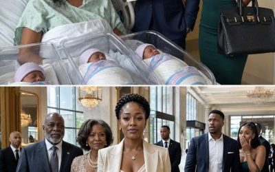 After I gave birth to our triplets, my husband brought his mistress to the hospital, a Birkin hanging from her arm, just to humiliate me. “You’r