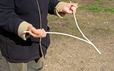 Almost no one recognizes this antique tool! Are you one of the few who know what it is?