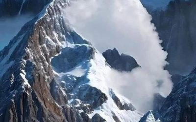 What Do You See in the Image? A Goat or an Eagle? Your Brain Might Decide!