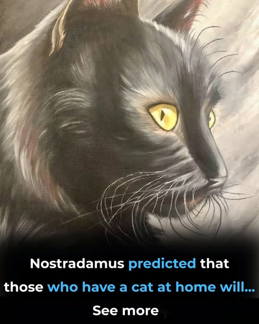 Nostradamus Predicted That Those Who Have a Cat at Home Will… Here’s What the Evidence Shows