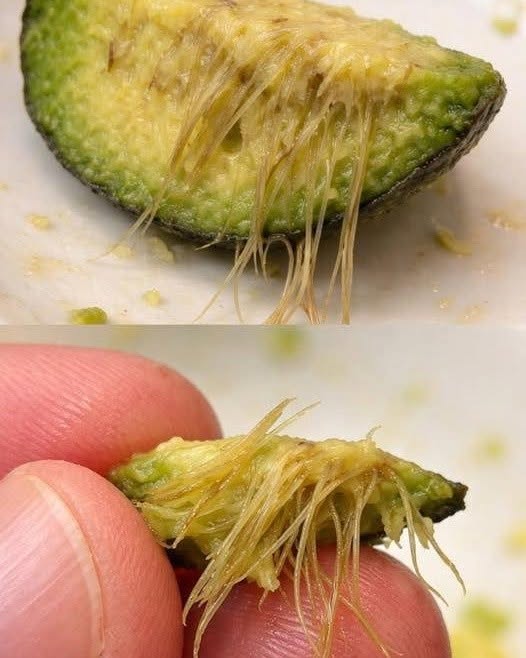 Why Your Avocado Has Those Stringy Fibers — And What They Actually Mean