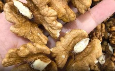 Doctors Are Begging You to Avoid Walnuts If You’ve Ever Suffered From This Common Medical Issue