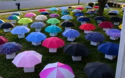 My son handed his umbrella to a pregnant woman during a storm — the following morning, 47 umbrellas covered our yard, each paired with a numbered box