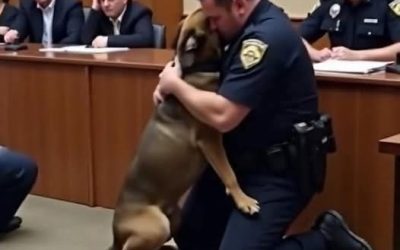 A Police Dog’s Last Breath Revealed a Secret No One Expected