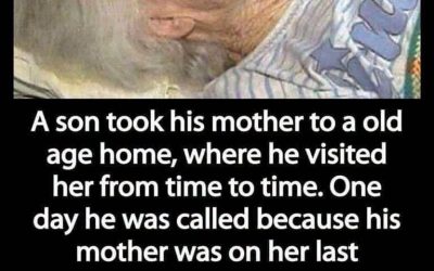Son took his mother to a nursing home and only visited her from time to time