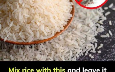 Mix this with a bowl of rice, and mice will quickly disappear from your house