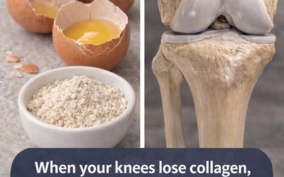 Eggshells for Knee Collagen? Here’s What Science Really Says