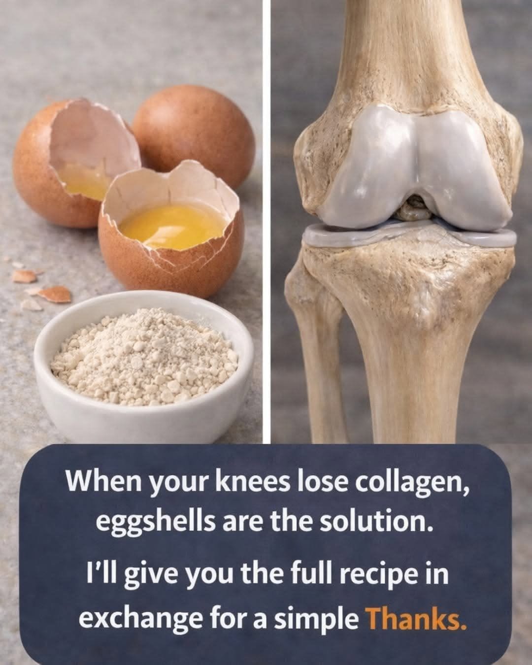 Eggshells for Knee Collagen? Here’s What Science Really Says