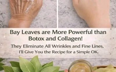 🌿 People Are Adding Bay Leaves to Their Skincare Routine — Here’s What Science Says About the Potential Benefits