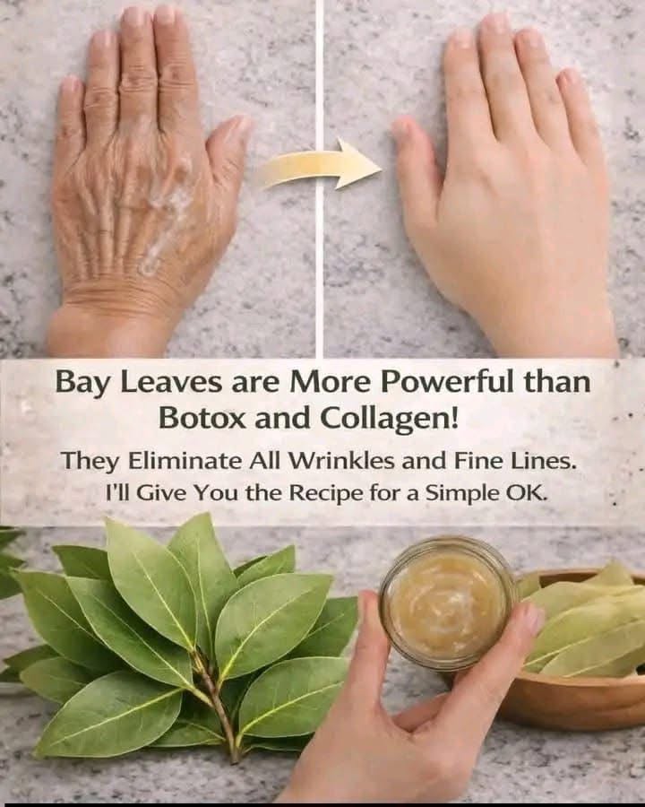 🌿 People Are Adding Bay Leaves to Their Skincare Routine — Here’s What Science Says About the Potential Benefits