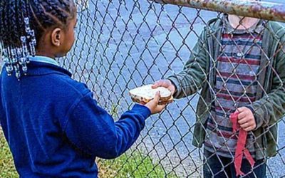 He Came Back Worth Millions for the Girl Who Fed Him Through a Fence.. sbl