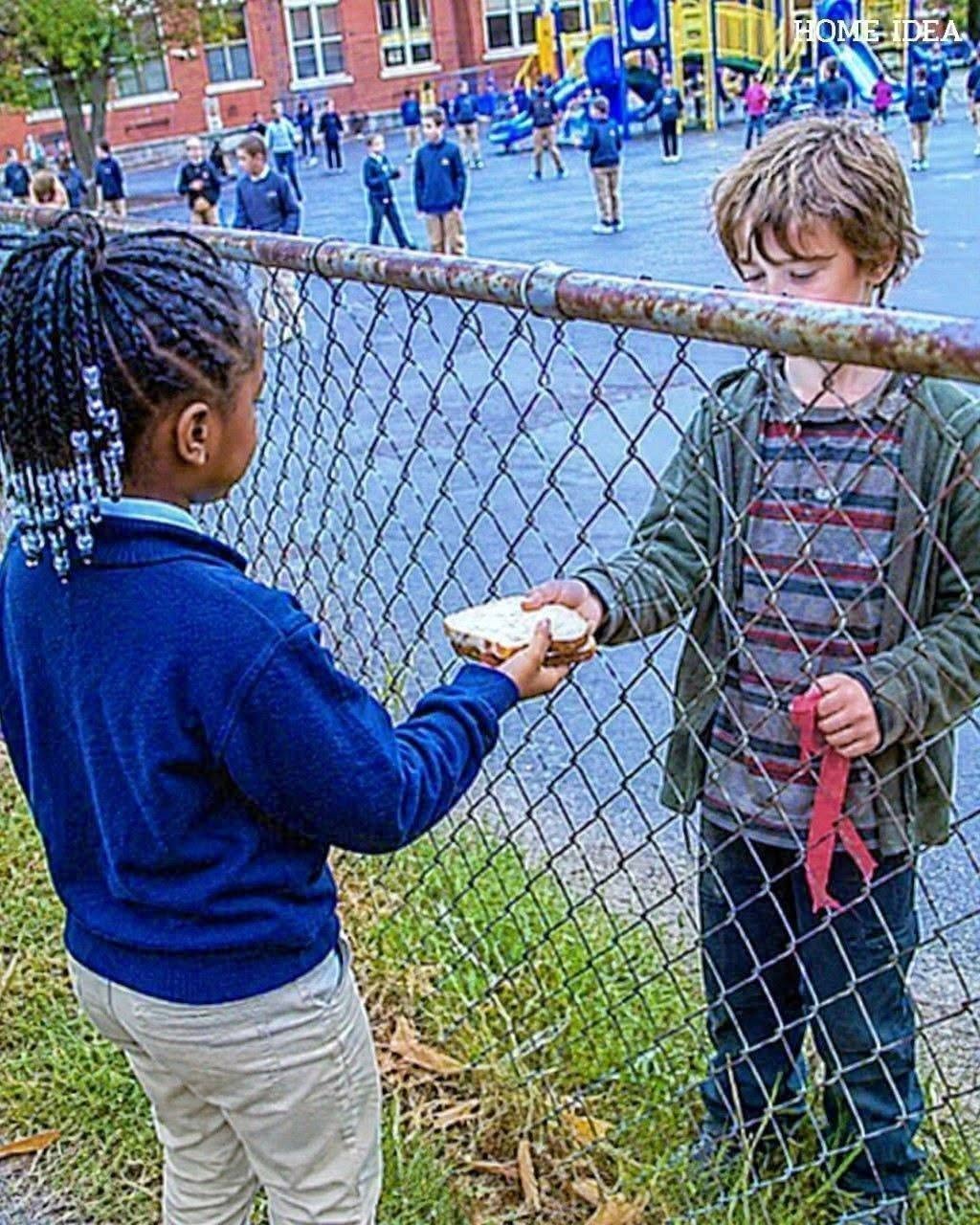 He Came Back Worth Millions for the Girl Who Fed Him Through a Fence.. sbl