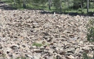 Test Your Vision: Can You Spot the Hidden Woman?