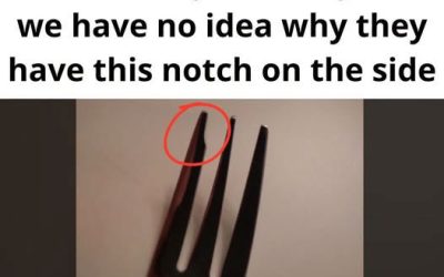 Why Is There a Notch in My Cake Fork?