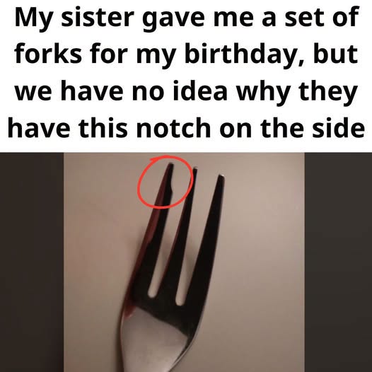 Why Is There a Notch in My Cake Fork?