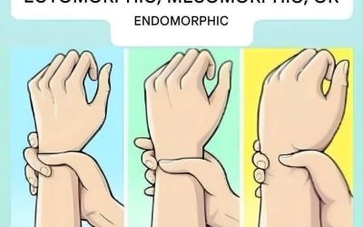 Are you an ectomorph, mesomorph, or endomorph? Discover your body type and how to make the most of it.