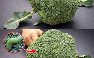 Washing broccoli with just water is wrong: This is the correct way. 1