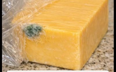 I just got home from the store and opened this expensive block of cheddar to make dinner. There is a small spot of green fuzz on the corner, but the rest of the block looks completely fine. Do I just