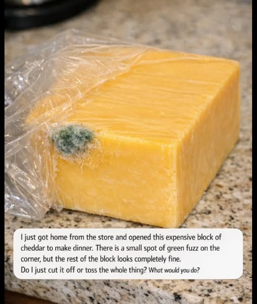 I just got home from the store and opened this expensive block of cheddar to make dinner. There is a small spot of green fuzz on the corner, but the rest of the block looks completely fine. Do I just