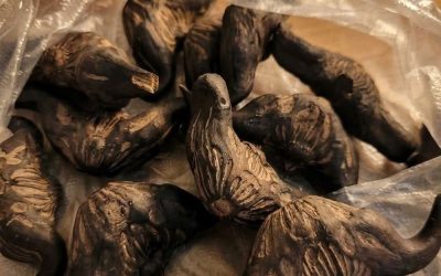 5 Signs You Should NOT Eat This Wild Forest Root