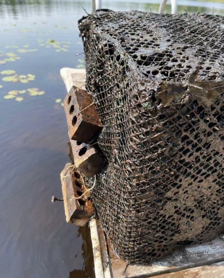 What Lies Beneath the Surface Will Blow Your Mind!