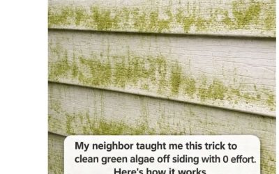 My neighbor taught me this trick to clean green algae off siding with 0 effort. Here’s how it works
