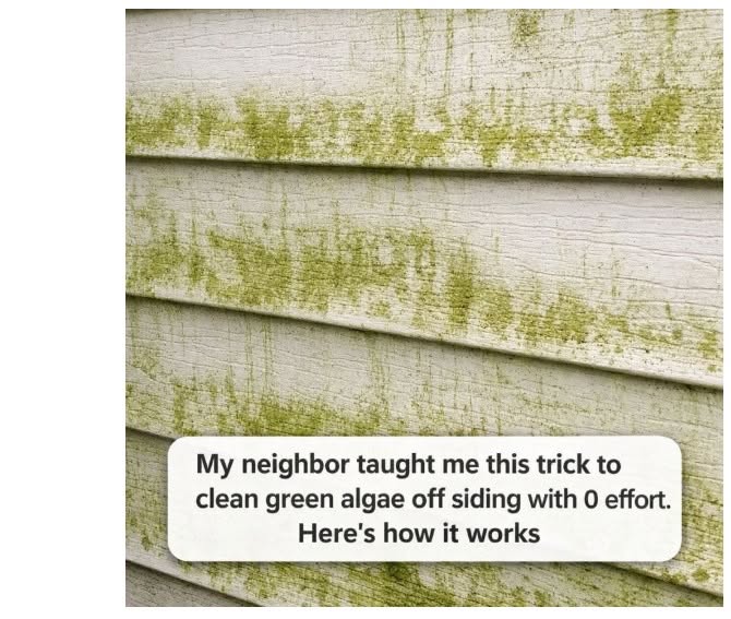 My neighbor taught me this trick to clean green algae off siding with 0 effort. Here’s how it works