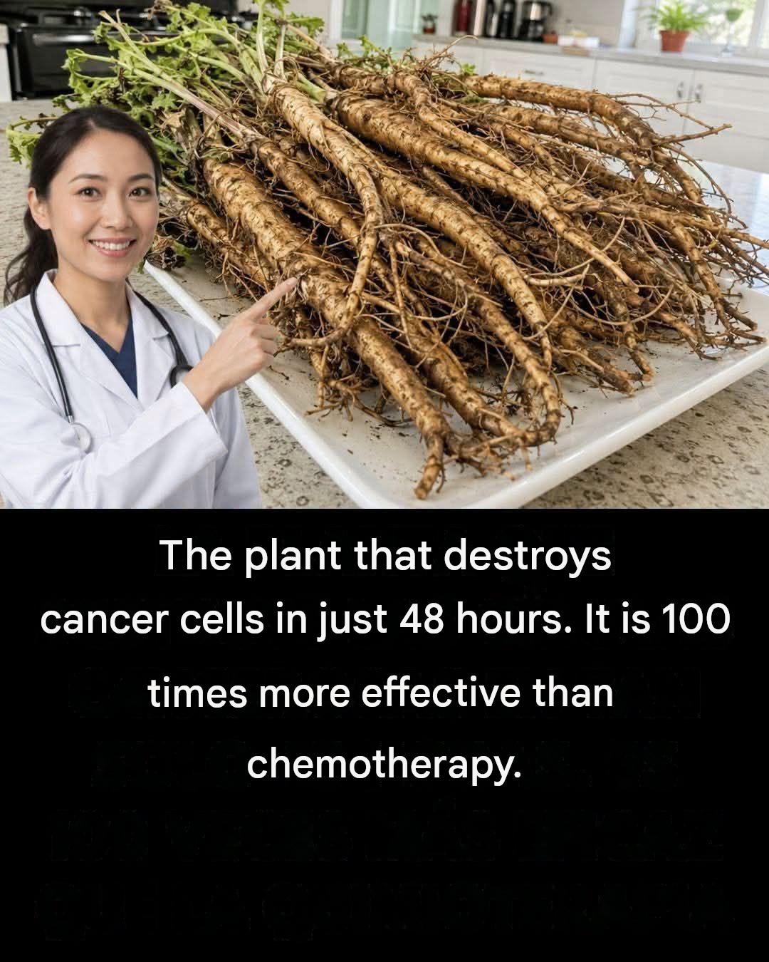 Dandelion root