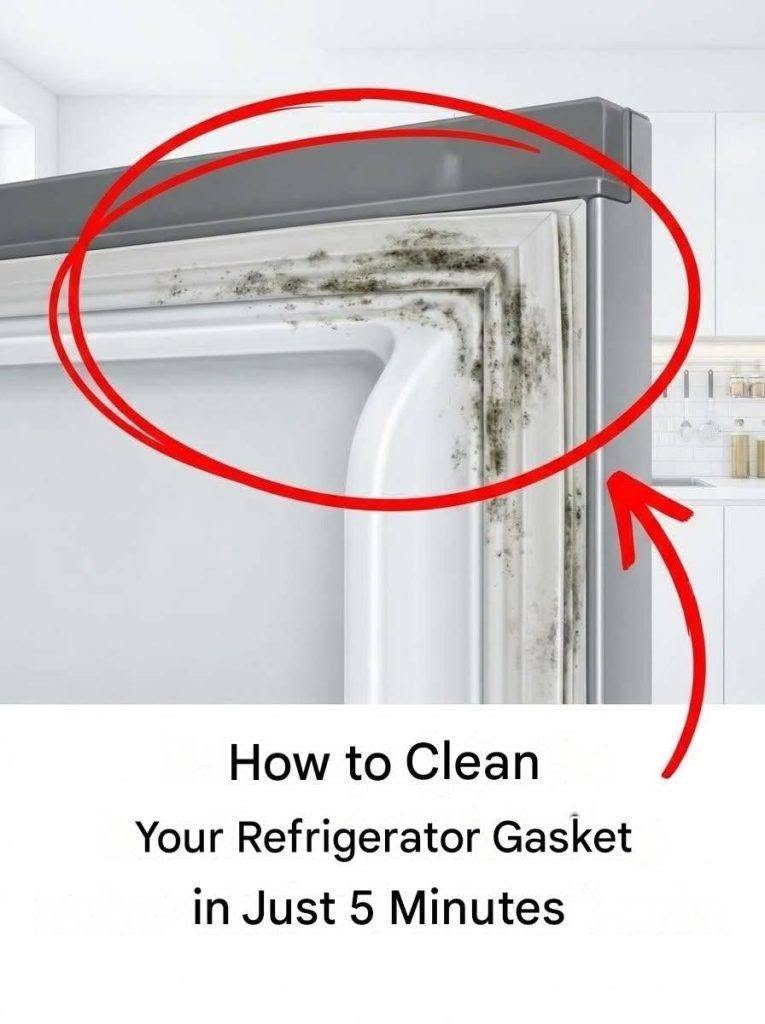 Here’s how to clean your refrigerator’s waterproof seal in 5 minutes.