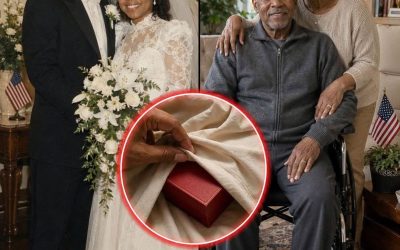 I Took the Cruise My Late Husband and I Had Saved for over 30 Years – On Day Five, the Captain Called My Name and Told Me to Look Under Table Seven