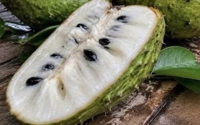 Soursop Leaf Tea Recipe: A Natural Herbal Drink for Wellness and Hydration