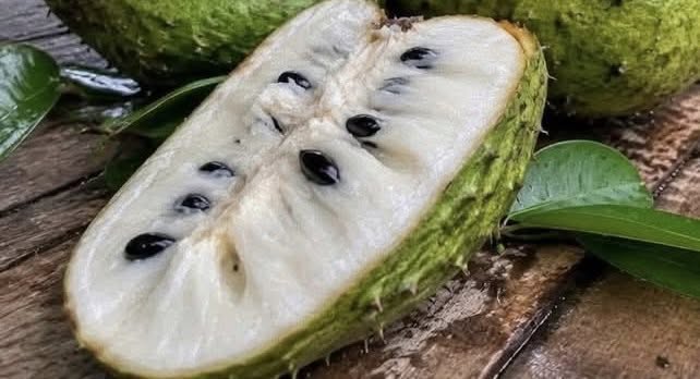 Soursop Leaf Tea Recipe: A Natural Herbal Drink for Wellness and Hydration