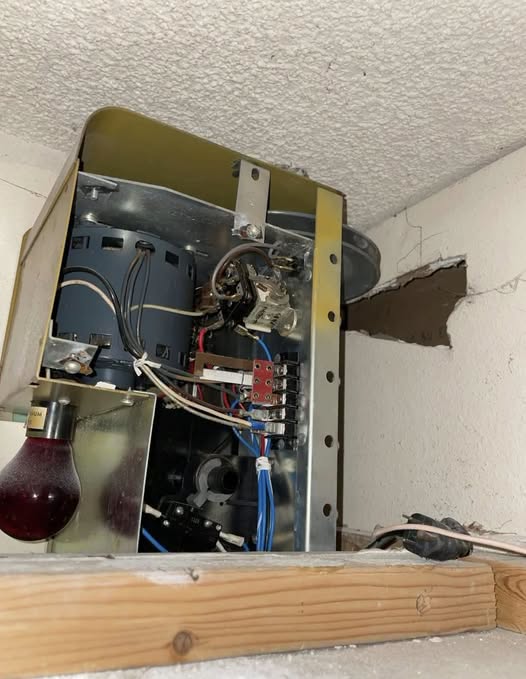 A Strange Find in the Ceiling