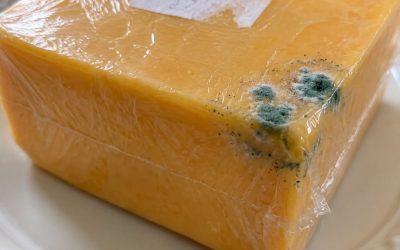 hat Green Spot on Your Cheddar… Cut It Off or Toss the Whole Thing?