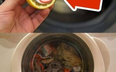 If you’ve never put it in the washing machine before, you should do so for the following reason: unexpected results.
