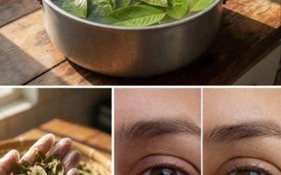 Blurry vision, or irritated or tired eyes? Many people are trying guava leaf tea to