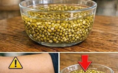 *Forget eggs: This seed builds muscle faster after age 70.*