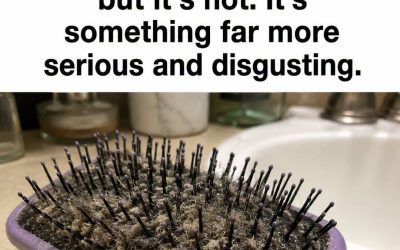 What Is the Gray Fuzz on Your Hairbrush?