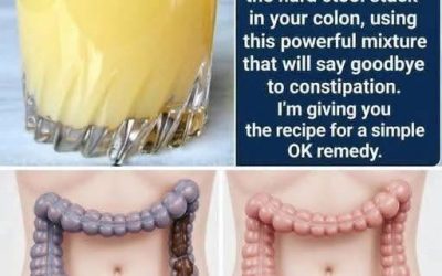 Low-Carb Overnight Digestive Wellness Drink