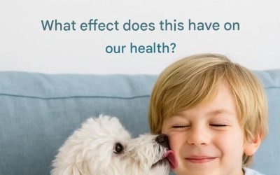 🐶Why do dogs lick us? Grandma tells you everything!