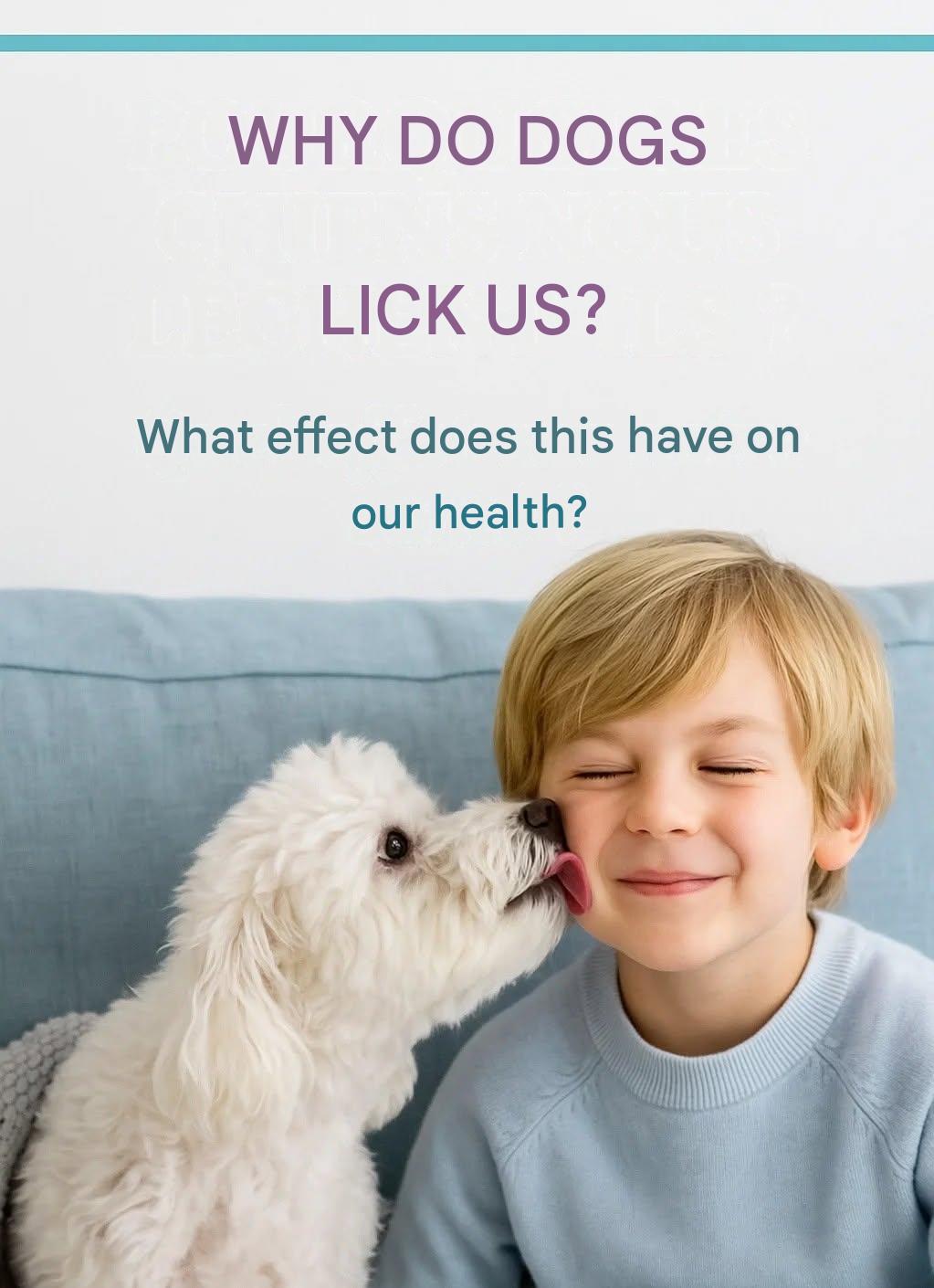 🐶Why do dogs lick us? Grandma tells you everything!