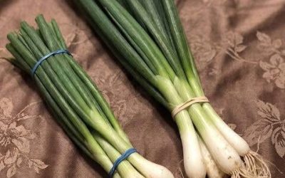 Scallions, Green Onions, Spring Onions, and Chives Explained Simply