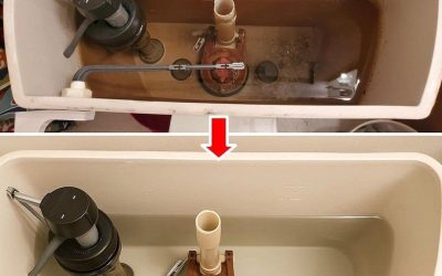 How to clean the toilet tank and make it look like new again