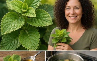 Purify your eyes with this wonderful plant. I’ll give you the recipe for a simple one. OK. RECIPE IN THE FIRST COMMENT