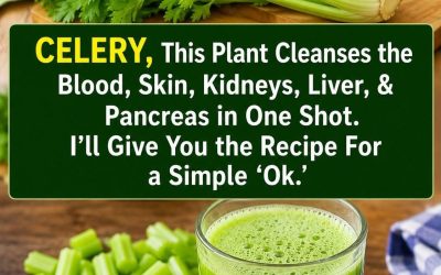 This plant cleans the blood, skin, kidneys, liver, and pancreas in one go. But do it this way… To keep receiving my recipes, you just need to say something… Thank you!…