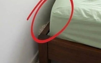I came home exhausted waiting for a quiet night, but something was not right…