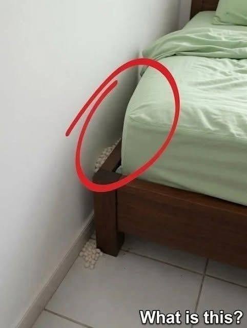 I came home exhausted waiting for a quiet night, but something was not right…