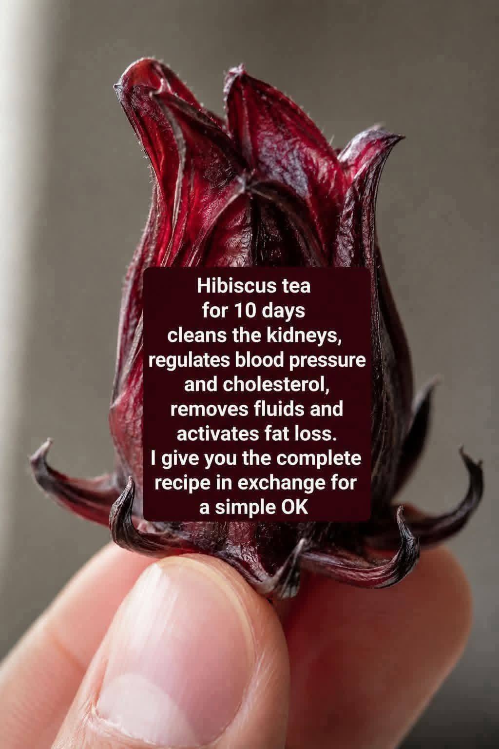 JAMAICAN FLOWER JELLY WITH CINNAMON AND CLOVES