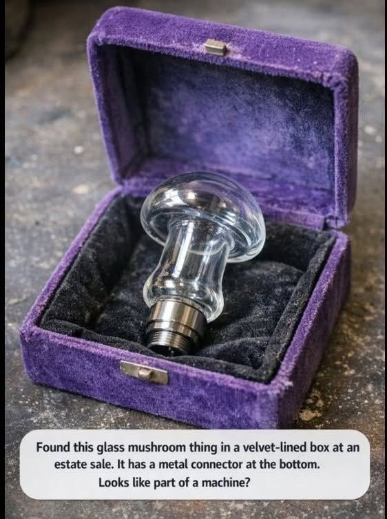 Found this glass mushroom thing in a velvet-lined box at an estate sale. It has a metal connector at the bottom. Looks like part of a machine?